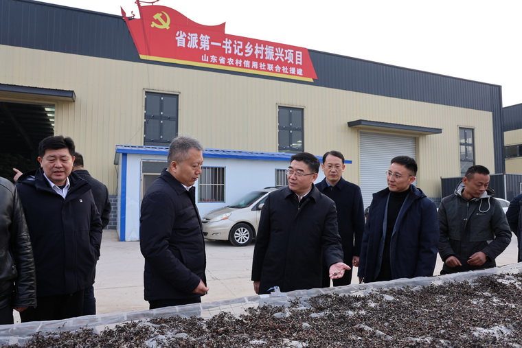 赵书记调研城西村毛木耳加工产业.jpg